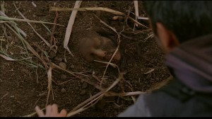 20090726045625!Danielle_Shallow_Grave